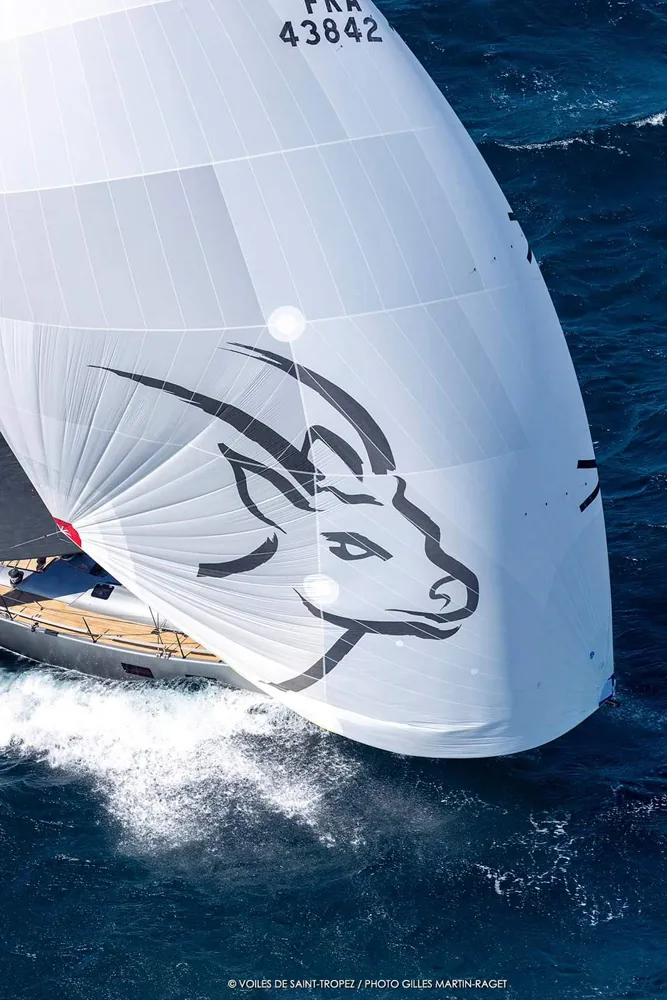 Voile compétition