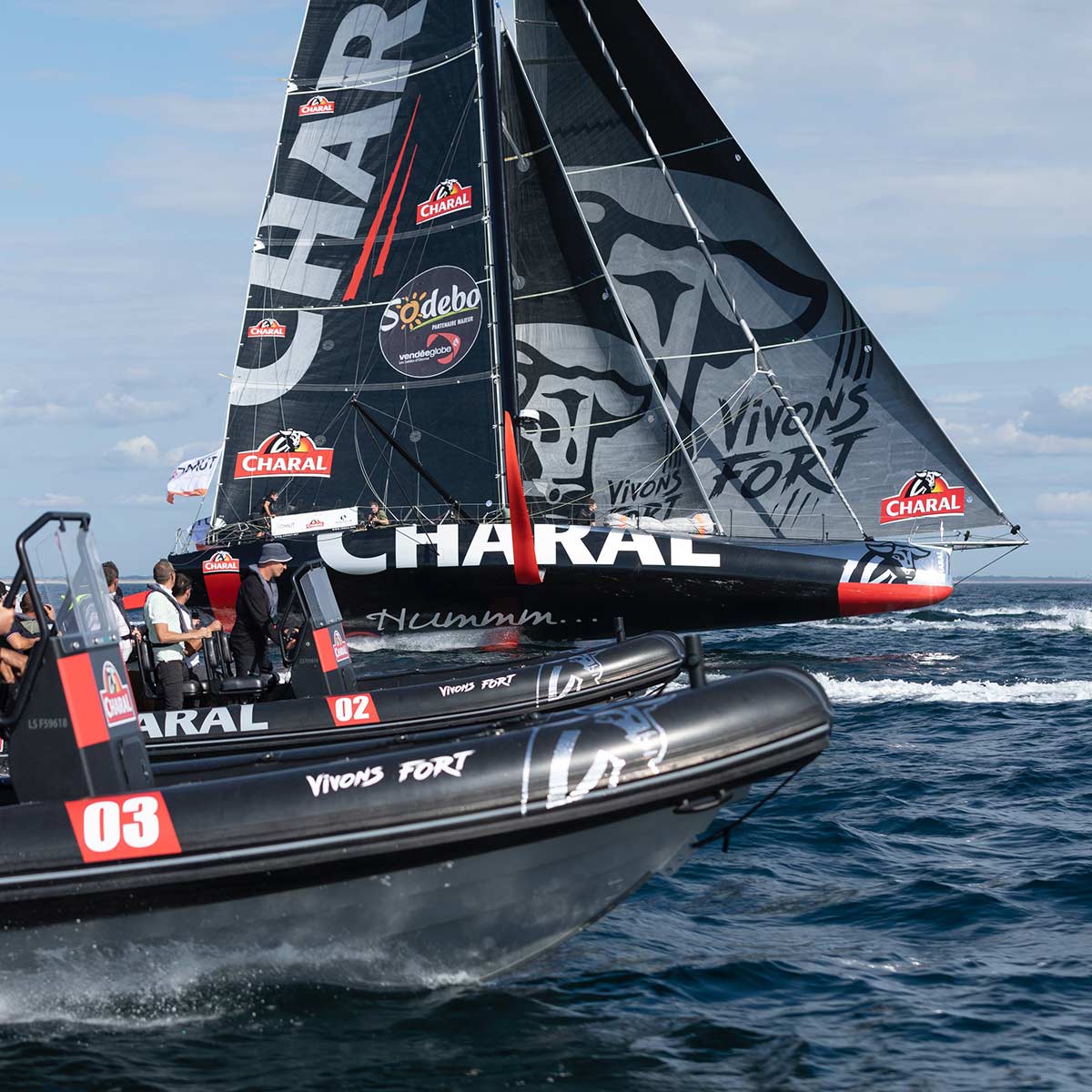 Décoration sur voile